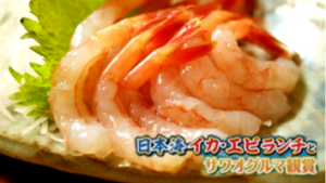 日本海イカ・エビランチとサワオグルマ鑑賞